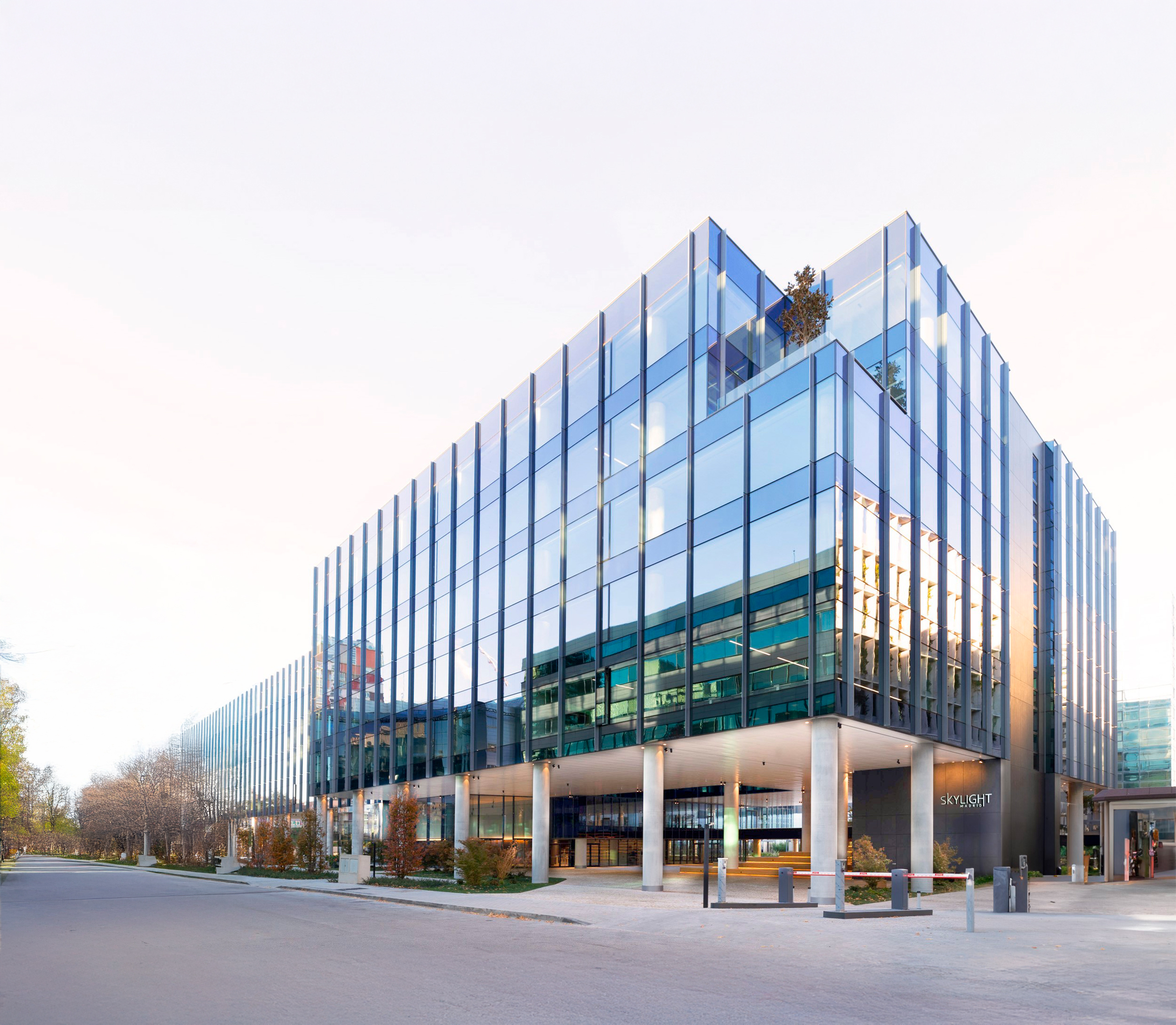 Edificio skylight 12